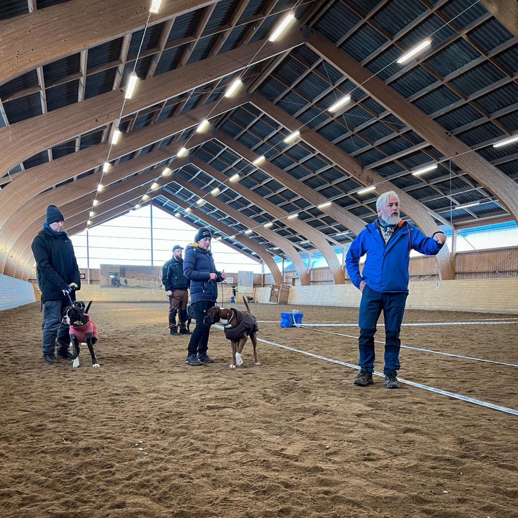 Utställningsträning med Gerard O'Shea